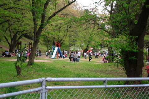 若木山公園