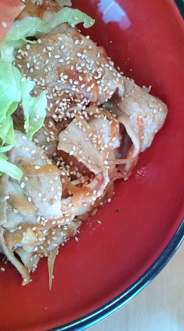 しぶき亭焼肉丼 接写