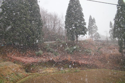 雪