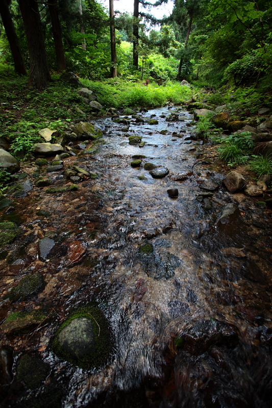 天童高原 川