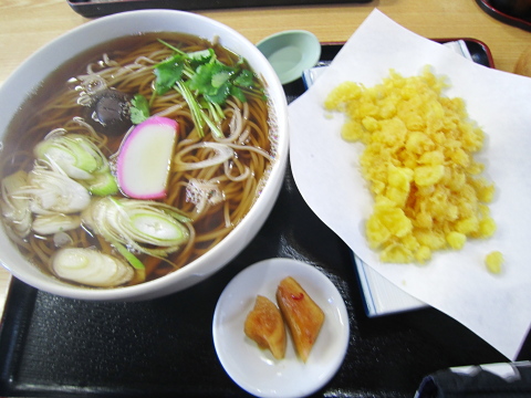 正平のたぬき蕎麦　大盛り150円が100円だとすごく嬉しい。