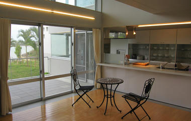 20110111feris1.jpg