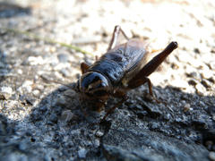 DSCN6049.jpg