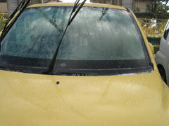 IMG_5816.jpg