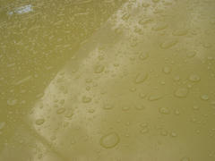 IMG_5817.jpg