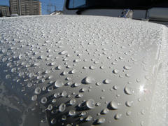 DSCN6275.jpg