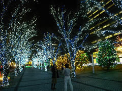 DSCN6288.jpg
