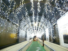 DSCN6336.jpg