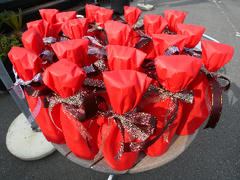DSCN6408.jpg