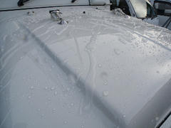 DSCN6264.jpg