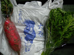 DSCN6584.jpg
