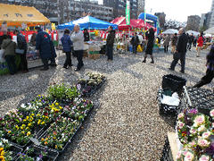 DSCN6628.jpg
