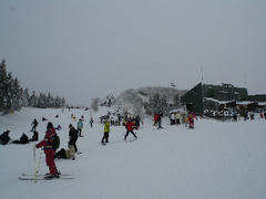 DSCN6667.jpg