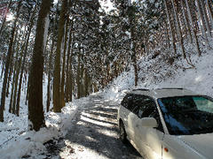 DSCN6669.jpg