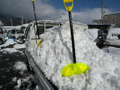 DSCN6772.jpg