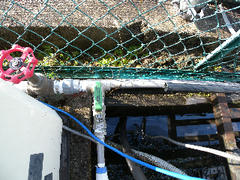 DSCN6784.jpg