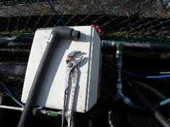 DSCN6785.jpg