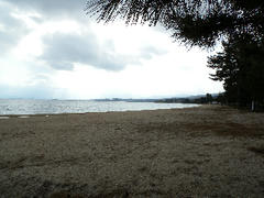 DSCN6949.jpg