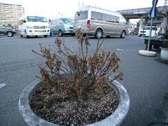 DSCN7002.jpg