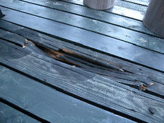DSCN6999.jpg