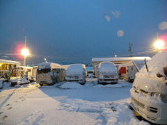 DSCN7407.jpg