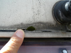 DSCN7476.jpg