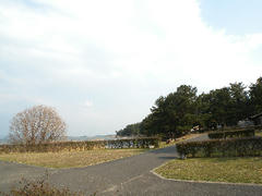 DSCN7508.jpg