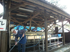 DSCN7516.jpg