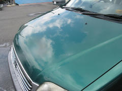 IMG_5984.jpg