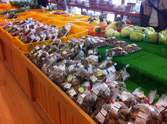 トレーラも駐車可能（マリナ’ＲＶ）