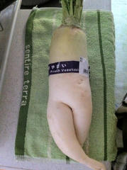 道の駅京都市右京区ウッディー京北