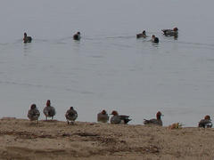 DSCN7892.jpg