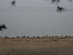 DSCN7888.jpg