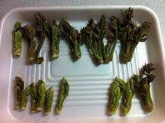 滋賀県　湖西地域