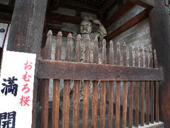 DSCN7879.jpg