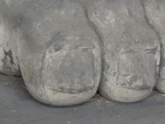 DSCN7880.jpg