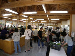 DSCN8242.jpg