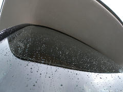 DSCN8215.jpg