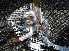 DSCN8246.JPG
