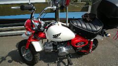 DSCN8446.jpg