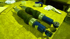 DSCN8551.jpg