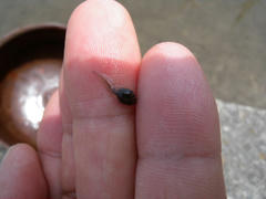 DSCN8556.jpg