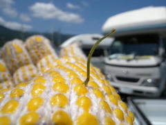 DSCN8812.jpg