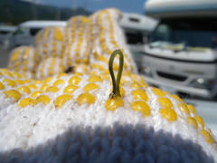DSCN8800.jpg
