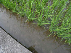 DSCN8985.JPG