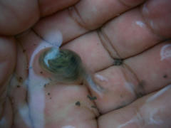 DSCN8993.jpg