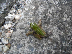 DSCN8992.jpg