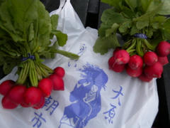 DSCN9030.jpg