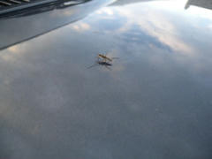 DSCN9242.jpg