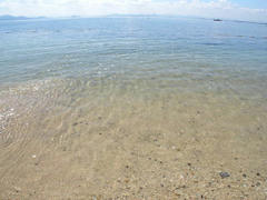 DSCN9316.jpg